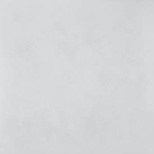 แผ่นผนังโพลีสไตรีนป้องกันโรคราน้ำค้างสำหรับตกแต่งผนังที่อยู่อาศัย - Product Image 1