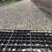 Grille de gazon en HDPE haute résistance, pavé perméable pour allées de jardin et contrôle du boue, stabilisation du sol