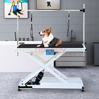 MT Medical Table de toilettage électrique élévatrice de haute qualité pour animaux Table de toilettage professionnelle pour chiens