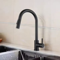 Pulvérisateur à tirette moderne à poignée unique en acier inoxydable nickel brossé pour cuisine salle de bain ferme simple