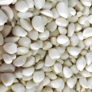 Línea de Procesamiento de Ajo de Acero Inoxidable 304 de Alta Producción (150-800 kg/h), Ecológica, con Peladora y Separadora, Suministro Directo de Fábrica - Product Image 6
