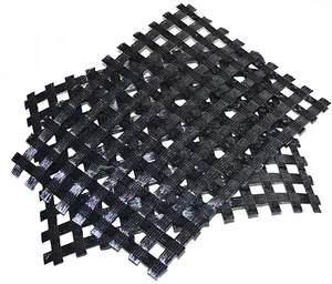 Hoge Sterkte Versterking Polyester Geogrid