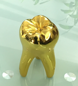 راتنج مخصص مطلي بالذهب ثلاثي الأبعاد نموذج الأسنان هدية الأعمال الترويجية الحصرية هدية الأسنان - Product Image 4