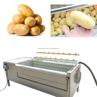 Légumes racines 500-1000kg/heure éplucheur de lavage de patates douces 304 acier inoxydable carotte gingembre lavage équipement d'épluchage