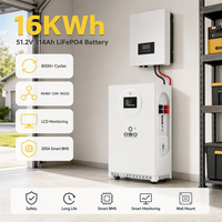 Batería de iones de litio LiFePO4 de 16 kWh, 48 V, 51.2 V, paquete de 15 kWh, 17 kWh, 17 kW, para almacenamiento de energía solar fuera de la red de 15 kW/h para hoteles