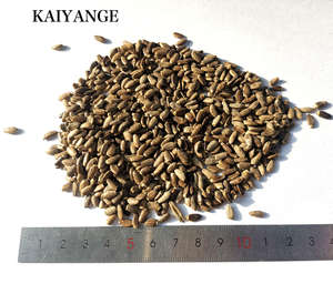 KAIYANGE - Té de Hierbas Secas 100% Orgánico al por Mayor, Semillas de <span class=keywords><strong>Cardo</strong></span> Mariano en Caja, Té Especial Desintoxicante en Bolsitas, Saboroso y Saludable para la Función Hepática - Product Image 1