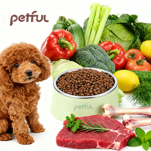 Oem bán nóng bán buôn tùy chỉnh protein cao khô thức ăn vật nuôi gà tây thịt bò thịt cừu lành mạnh tăng cân kibble nhà sản xuất - Product Image 2