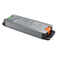 Controlador LED IP20 Triac/0-10V/1-10V, Regulable por Triac, Impermeable, Fuente de Alimentación LED de 12V 24V, Serie CL, 30-300W, Salida Dual