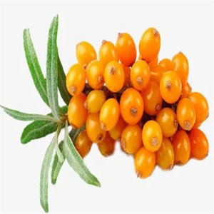 Высококачественный Сертифицированный GMP порошок облепихи натуральный фруктовый порошок витамин активный пищевой Халяль Сертифицированный вакуумный упакованный барабан - Product Image 4