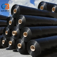 Geomembrana HDPE de Alta Calidad ASTM, Revestimiento Anti-UV para Tanques, Estanques de Piscifactorías, Depósitos de Agua y Embalses