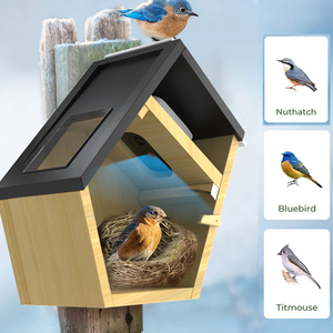 Maison d'oiseau intelligente mangeoire caméra 5MP HD sans fil extérieur maison d'oiseau en bois Wifi avec - Product Image 1