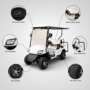 Voiturette de golf électrique 4 places 60V 3.5KW à moteur AC certifiée CE, véhicule de transport privé à basse vitesse pour villas de luxe résidentielles - Product Image 2