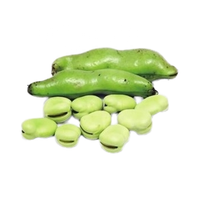 UE/USDA Poudre de protéine de haricot fava biologique de haute qualité Bienfaits pour la santé Supplément de protéines végétales Additifs alimentaires