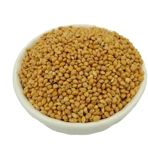 Low Price Guaranteed Quality Organic Millet Grains Yellow Broomcorn Millet For Bird Feed