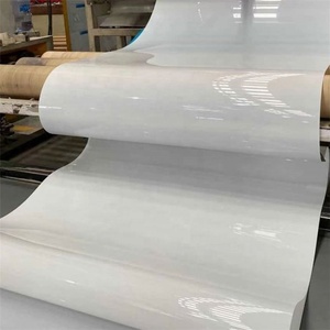 Hot Bán Pp Gia Cầm Phân Băng Tải Cho Trang Trại Gà - Product Image 1