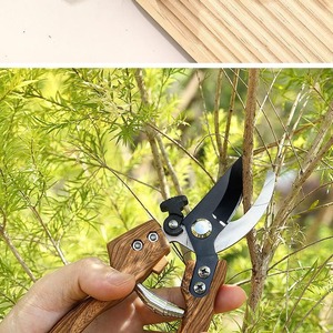 Bonsai Trimmer <b>Tool</b> SK5 Stainless Steel Bypass Tree <b>Branch</b> Cutter Garden Pruning Shears with Plastic Handle - Product Image 5