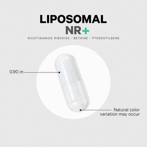 Liposomiale Nicotinamide Riboside integratore 500mg NR betaina anidro Pterostilbene supporto energetico - Product Image 4
