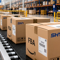 Agent maritime DDP, service porte-à-porte par mer et air, Chine, UE, Allemagne, France, Belgique, transitaire Amazon FBA, assurance, assistance 24h/24 et 7j/7