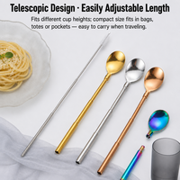 Paille-tige télescopique en acier inoxydable 304, détachable, portable, réutilisable, ustensile de boisson, compagnon de tasse à café, paille métallique