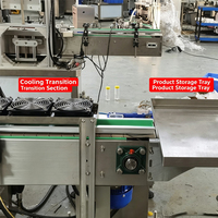 Machine de remplissage automatique haute vitesse à tête unique pour liquides et pâtes avec agitation et chauffage