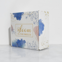 Emballage personnalisé en carton double face coloré en forme d'avion pour vêtements et livraison express