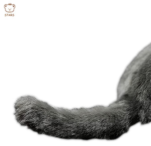 Giocattolo animale su ordinazione del giocattolo della peluche della bambola del gatto per il regalo dei bambini - Product Image 5