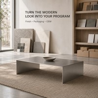 Table basse rectangulaire KINNO moderne en acier inoxydable 304, faite à la main, 80x50x30cm, épaisseur 4mm, durable, facile à nettoyer, pour appartement, salon