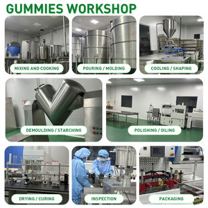 OEM Adult Sugar Free Super Greens <strong>Gummies</strong> Superfood <strong>Gummy</strong> <strong>Bears</strong> with Spirulina Chlorella Fiber Prebiotics Adaptogen Supplement - Product Image 5