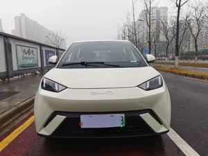 The Used Cars BYD Seagull Flagship Version 4-Seats 305km/405km Range Chinese Pure Electric Car Cheap Electric Cars 2023 Edition