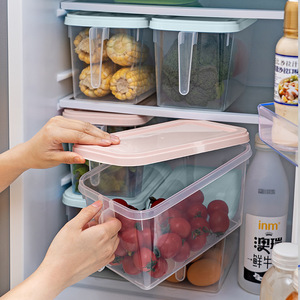 Refrigerator Storage Box With Lid Rectangle L Size Plastic Lid For Fruit Vegetable Kitchen Organization - Product Image 1