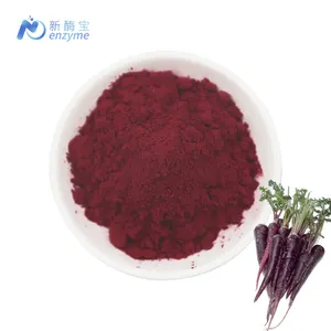 Novenzima fornitura puro naturale pigmento viola nero ravanello in polvere alla rinfusa polvere di carota nera