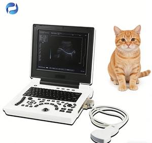 Perangkat Pemantauan Hewan Portabel Berkinerja Tinggi Mesin Pemindai <span class=keywords><strong>Ultrasound</strong></span> <span class=keywords><strong>Laptop</strong></span> Medis - Product Image 5