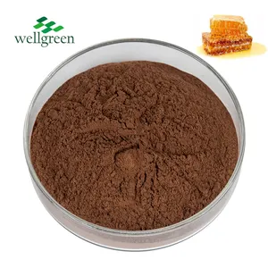 Wellgreen Spray Bee Liquid Pure Water Soluble Powder Green Resin Propolis Extract 2.5%Flavone