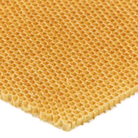 Noyau en nid d'abeille en aramide à faible dielectricité 48 kg/m³ – Noyau hexagonal transparent haute fréquence pour couverture d'antenne radôme communication 5G