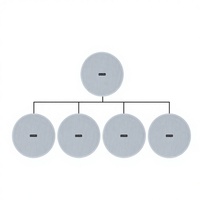 WE658 Haut-parleur de plafond coaxial WiFi 6 pouces, 5 pièces, amplificateur classe D 540W, multi-zones, AirPlay, DLNA, contrôle par application, enceinte de fond en ABS