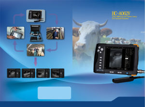 HC-A062V portable vétérinaire échographe portable <span class=keywords><strong>machine</strong></span> à ultrasons portable vétérinaire - Product Image 5