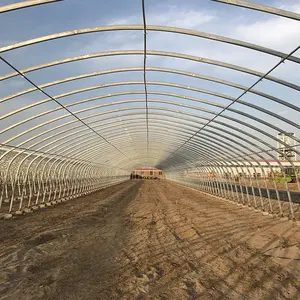 Archi pellicola a effetto serra campata unica tunnel serra di plastica capannone per le verdure