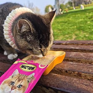 Friandises humides à lécher pour chats, best-seller, haute qualité, riches en protéines, biologiques, au saumon, au thon et au poulet, en bandes, pour la vente en gros - Product Image 1