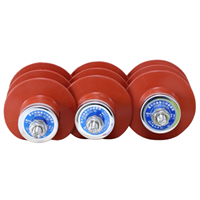 Parafoudre sans interstice à l'oxyde de zinc YONGCELE HY5WS-10/30 10kV 630A 150A 2ms à onde carrée en caoutchouc de silicium MOA pour lignes aériennes 6.6-10kV