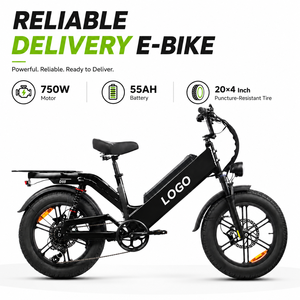 Vélo électrique à pneus larges de 20 pouces, autonomie de 240 km, moteur haute vitesse 48V 60V, vélo cargo électrique pour usage professionnel par les coursiers, fabrication sur mesure - Product Image 1