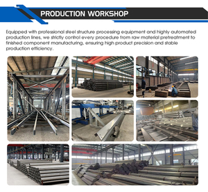 Gallinero Comercial de Diseño Moderno, Estructura de Acero Económica, Nave para Granja Avícola en Venta - Product Image 6