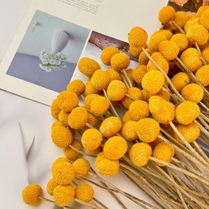 Boutons de Billy personnalisables multicolores, lot de 20 tiges, préservés à la glycérine, éternels et longue durée, 3-5 jours, Saint-Valentin, Remise de diplôme - Product Image 4