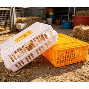 Cage à poulet en plastique jaune, grande, neuve, pour le transport de volailles, boîte de transport pour canards, oies, poulets, poulets de chair, pour la ferme - Product Image 1