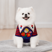 Set Sweater Rajut Kustom untuk Manusia dan Anjing, Pakaian Rajut Wanita, Pakaian Anjing Peliharaan, Pabrik ODM OEM Grosir