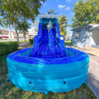 Toboggan aquatique gonflable de qualité commerciale en forme de dauphin pour adultes et enfants