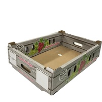 Custom 6Kg Waterdichte Verse Draak Mango Kersenvruchten En Groentekarton Kartonnen Verzenddoos Tomatenverpakking