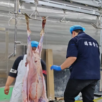 Équipement d'abattoir halal pour moutons et chèvres, machinerie de transformation complète pour carcasses de mouton, abattoir