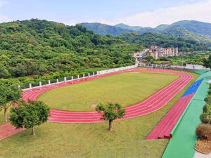 INOLP Revêtement de sol sportif anti-éblouissement en PU réduit la fatigue oculaire Piste de course extérieure avec finition de qualité supérieure pour les installations sportives - Product Image 2