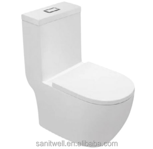 WC monobloc à double chasse siphonique, très demandé sur le marché mexicain - Product Image 4