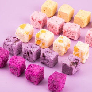 Cubes de yaourt <span class=keywords><strong>grec</strong></span> lyophilisé en vrac BSKS 1 kg pour adultes - Product Image 4